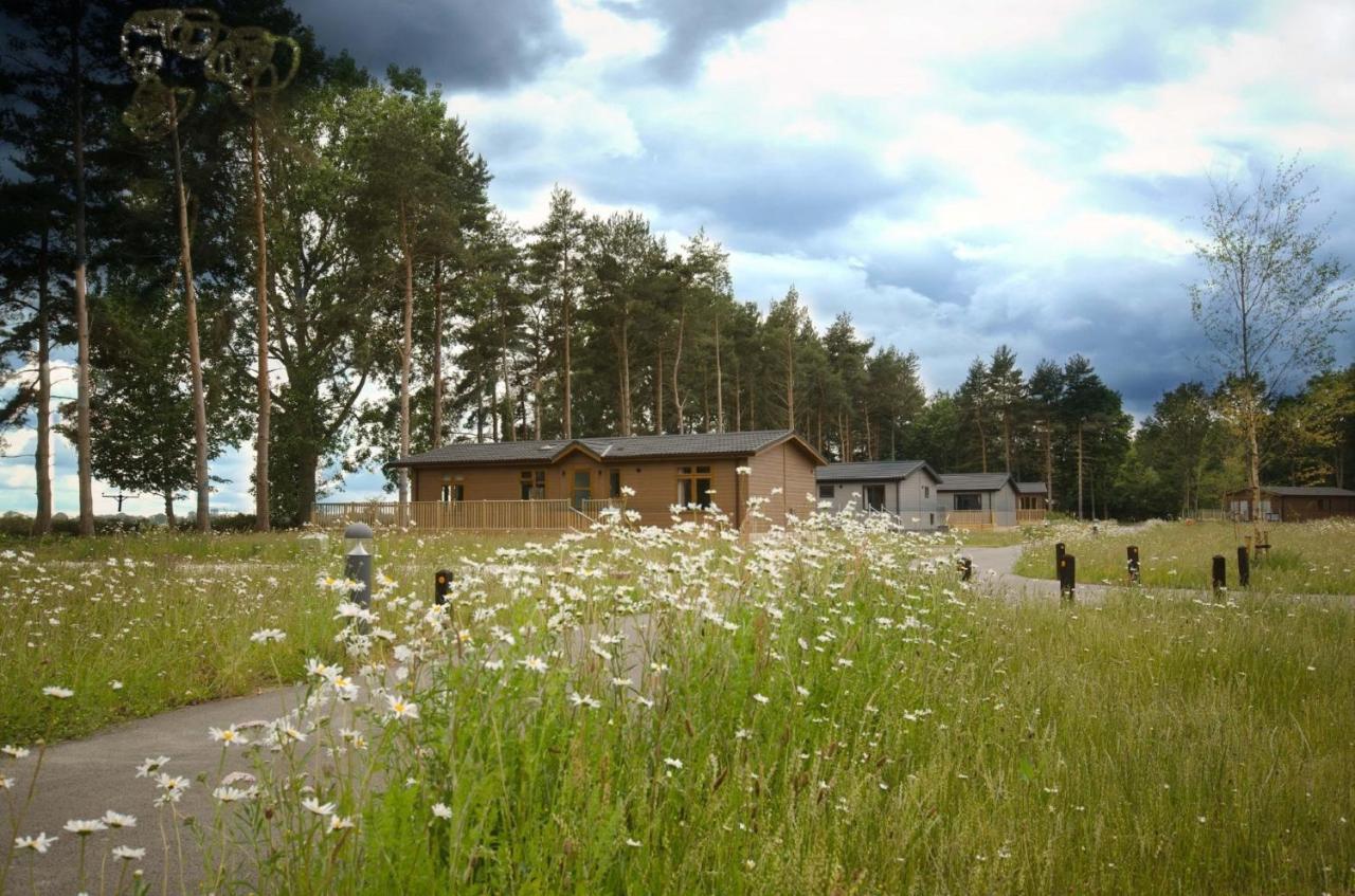 Hollicarrs - Dragonfly Lodge - York — Photos 3